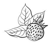 Garnish with fruit