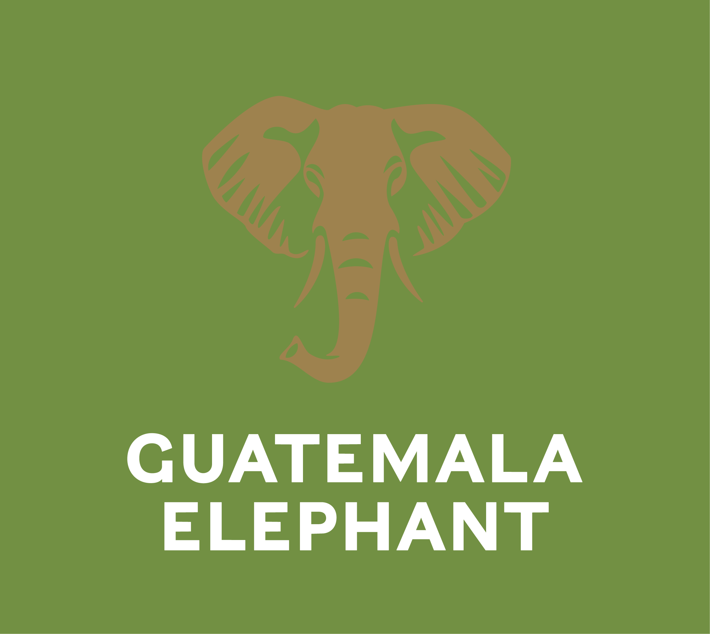 Coffees of the World Gift Set - Guatemala Elephant
