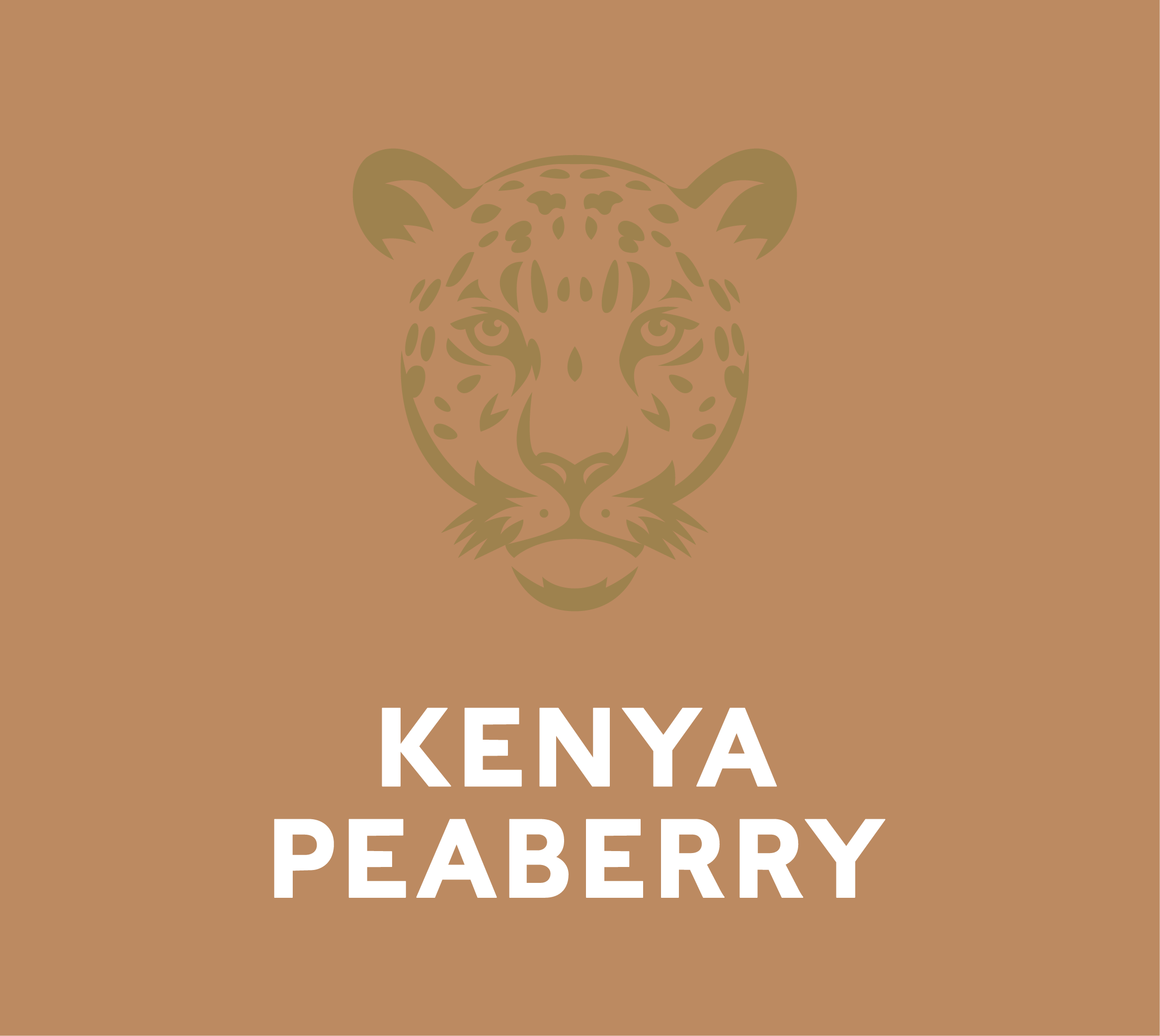 Coffees of the World Gift Set - Kenya Peaberry