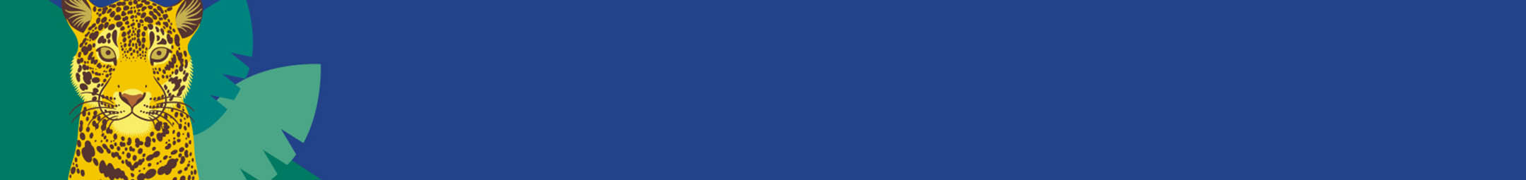 your alt text goes here