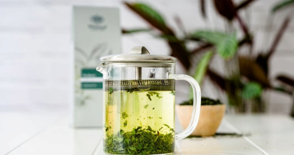 A Guide to Green Tea