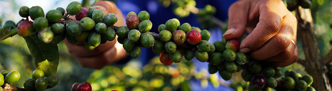 RWANDA GITWE #295