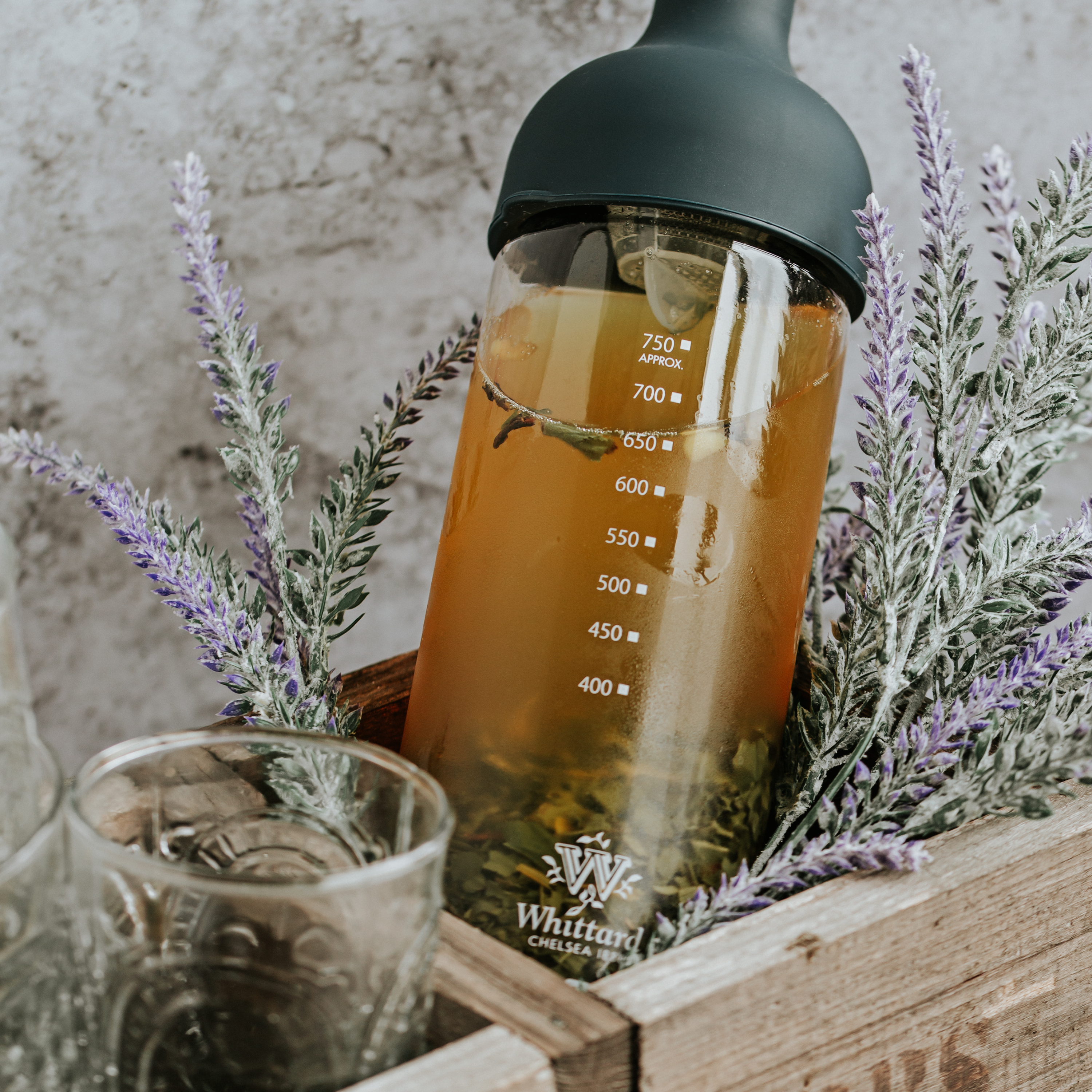 Whittard x Hario Cold Brew Tea Bottle Whittard of Chelsea